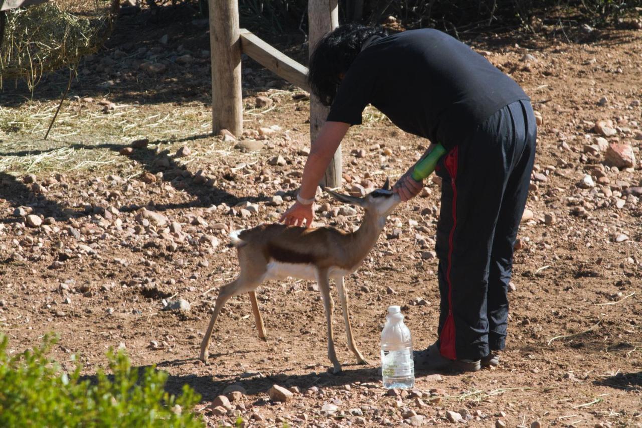 Zwartberg View Mountain Lodge Oudtshoorn Dış mekan fotoğraf
