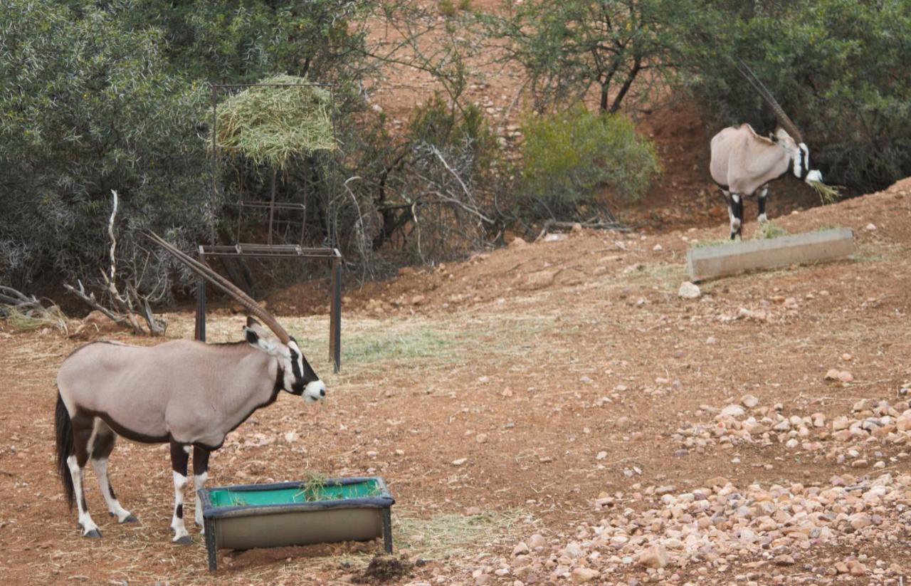 Zwartberg View Mountain Lodge Oudtshoorn Dış mekan fotoğraf