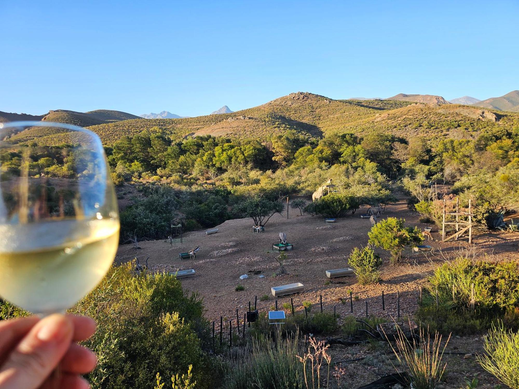 Zwartberg View Mountain Lodge Oudtshoorn Dış mekan fotoğraf